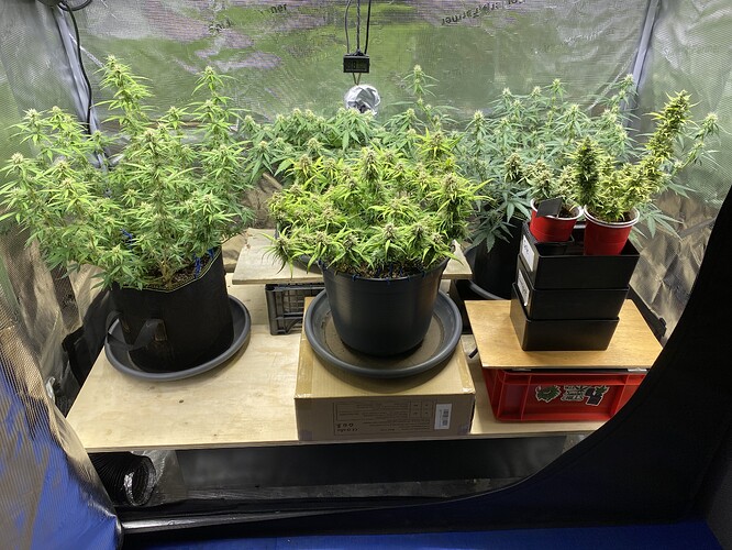 Growreport Bild 14