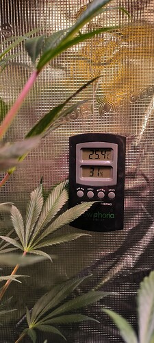 Growreport Bild 1