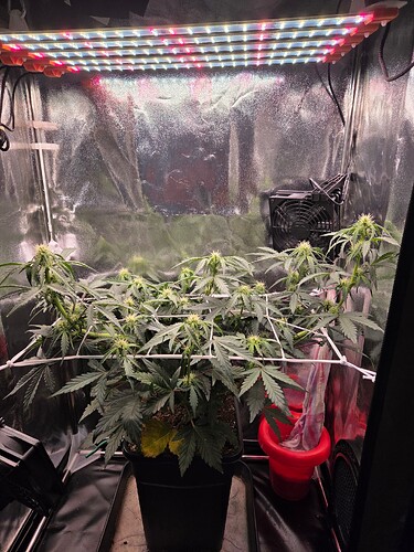 Growreport Bild 6