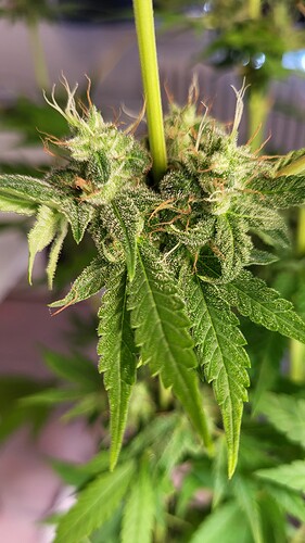 Growreport Bild 10
