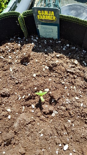 Growreport Bild 9
