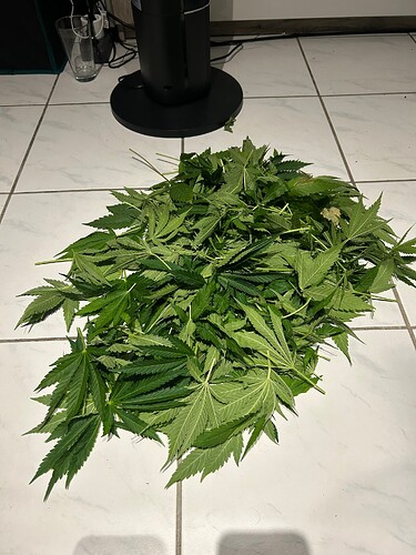 Growreport Bild 30