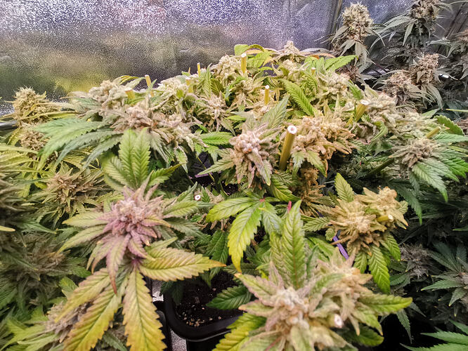 Growreport Bild 14