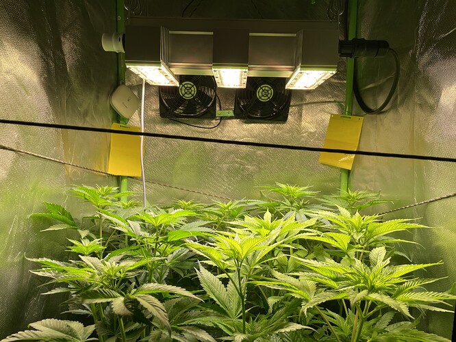 Growreport Bild 12