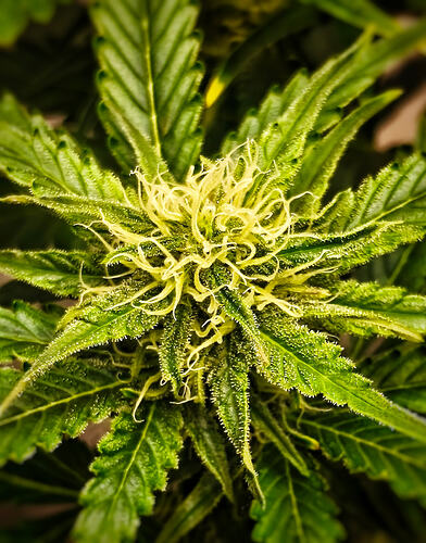 Growreport Bild 8