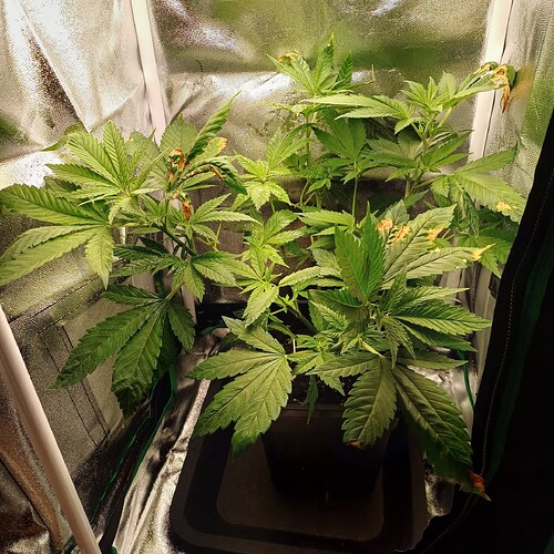 Growreport Bild 22