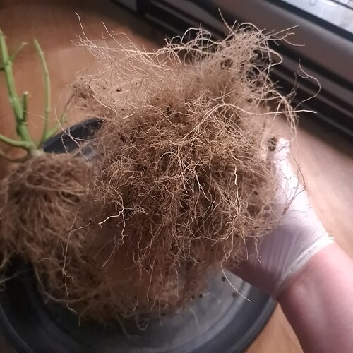 Growreport Bild 22