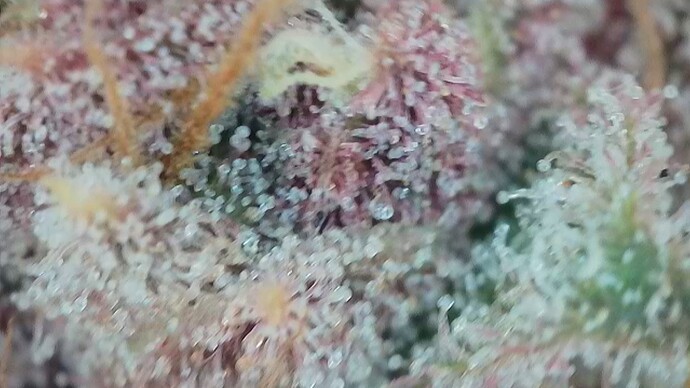 Growreport Bild 16