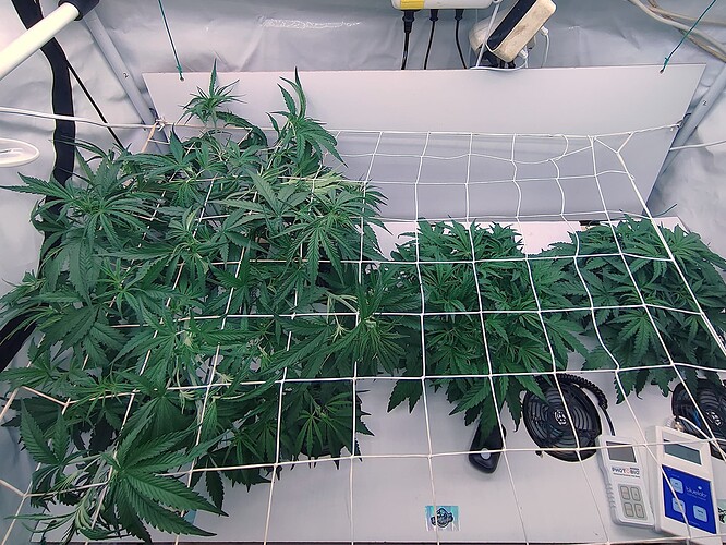 Growreport Bild 8