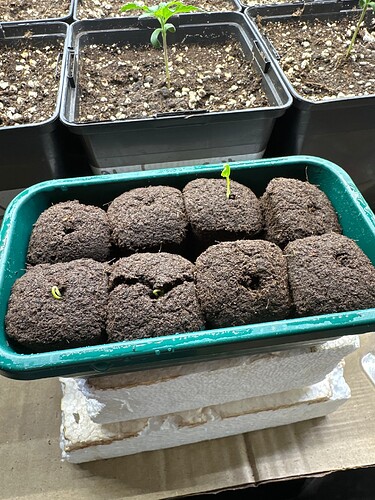 Growreport Bild 18