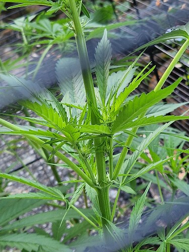 Growreport Bild 10