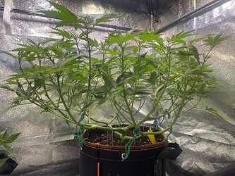 Growreport Bild 11