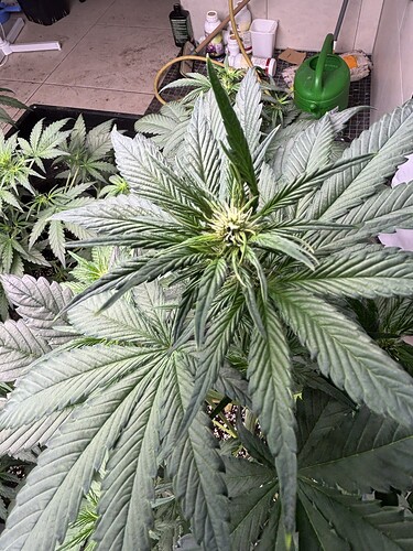 Growreport Bild 8