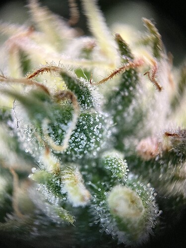 Growreport Bild 24
