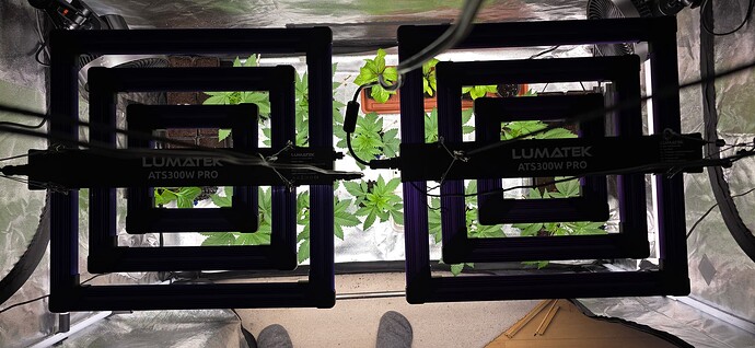 Growreport Bild 8