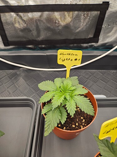 Growreport Bild 39