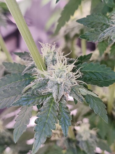 Growreport Bild 20