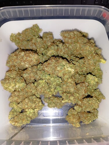 Ein Behälter voller getrockneter Cannabis-Buds, die dicht und harzig aussehen.