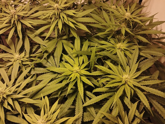 Growreport Bild 9