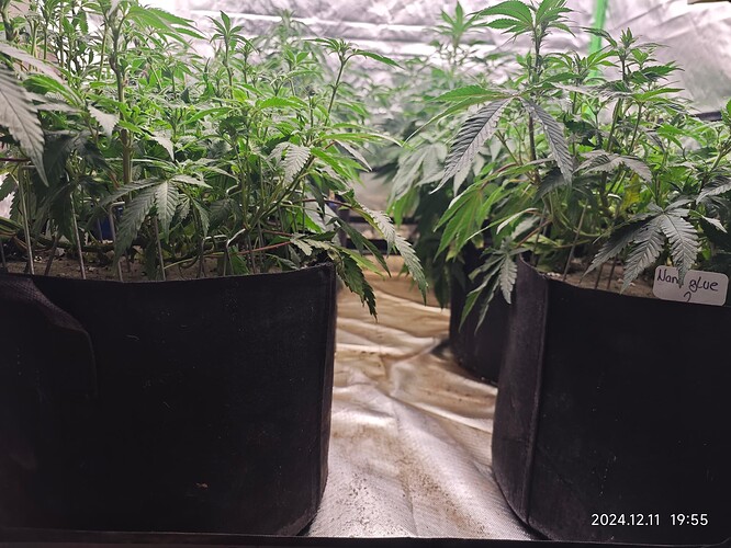 Growreport Bild 11