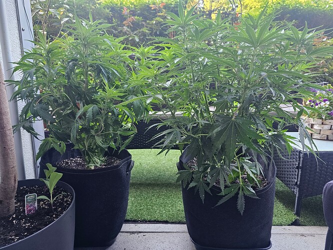 Growreport Bild 13