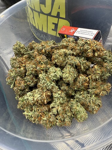 Growreport Bild 20