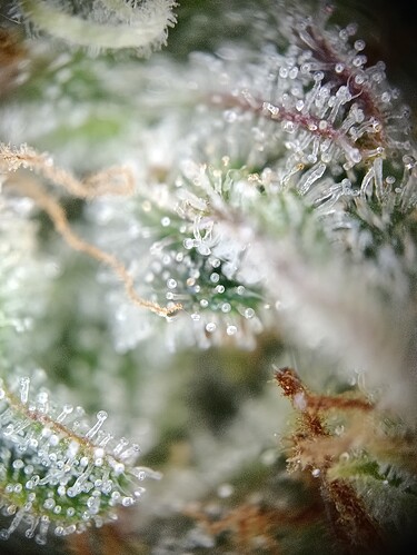 Growreport Bild 14