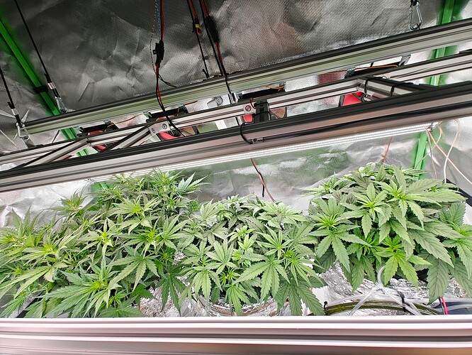 Growreport Bild 25