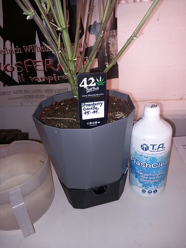 Growreport Bild 9
