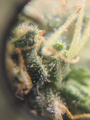 Growreport Bild 11