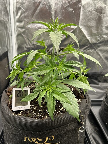 Growreport Bild 8