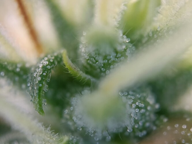 Growreport Bild 7