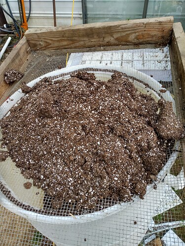 IMG_20240603_194157012_HDR1