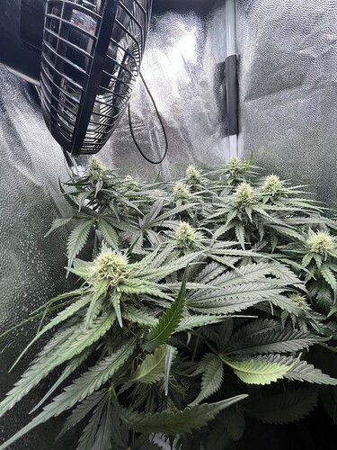 Growreport Bild 2