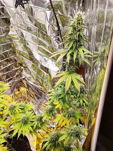 Growreport Bild 10