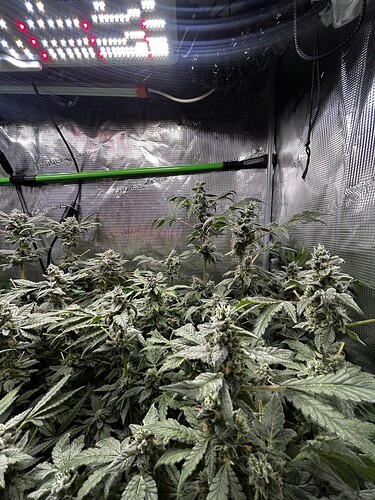 Growreport Bild 10
