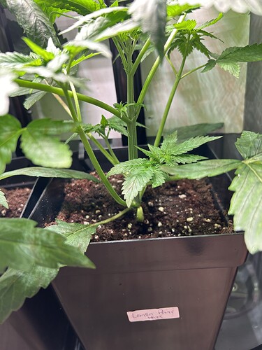 Growreport Bild 13