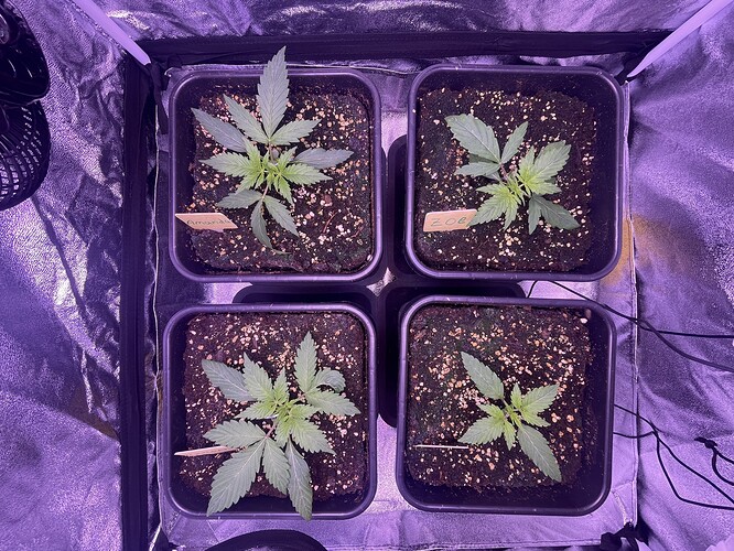 Growreport Bild 10
