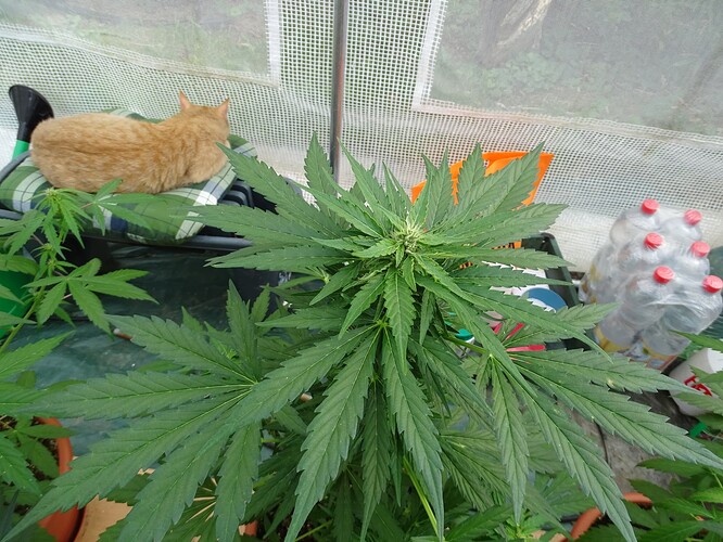 Growreport Bild 17