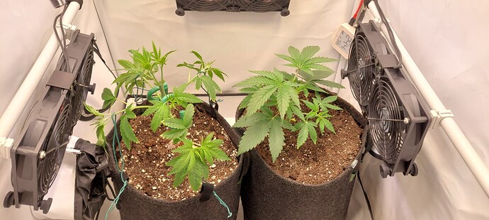 Growreport Bild 6