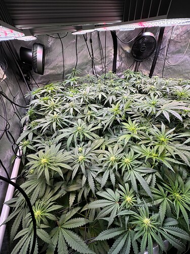 Growreport Bild 15