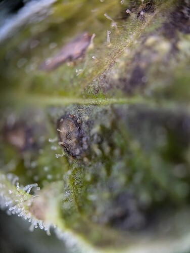 PXL_20240803_114223100