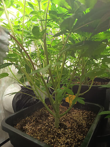 Growreport Bild 8