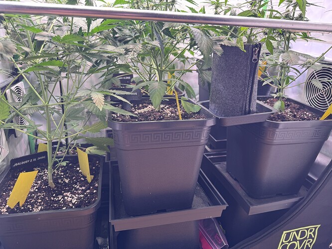 Growreport Bild 13