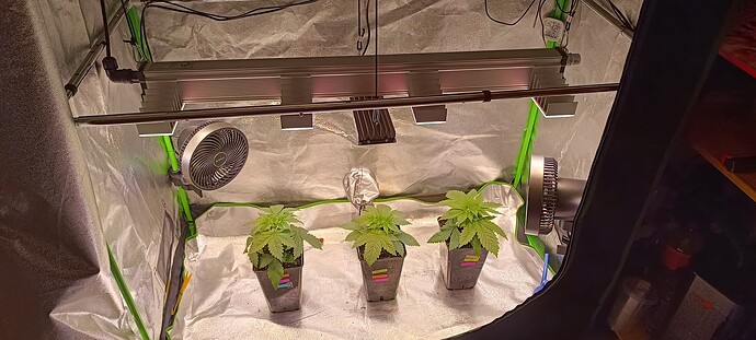 Growreport Bild 1