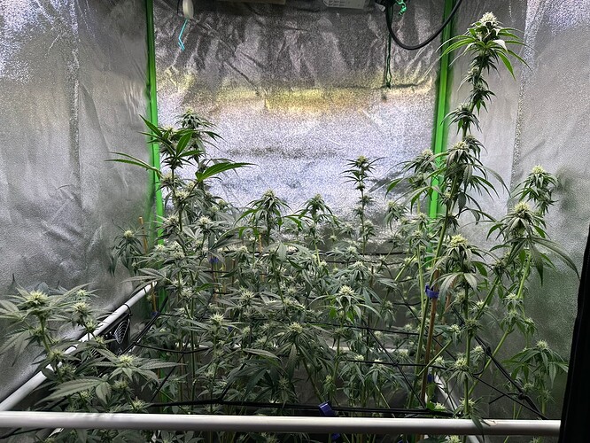 Growreport Bild 15