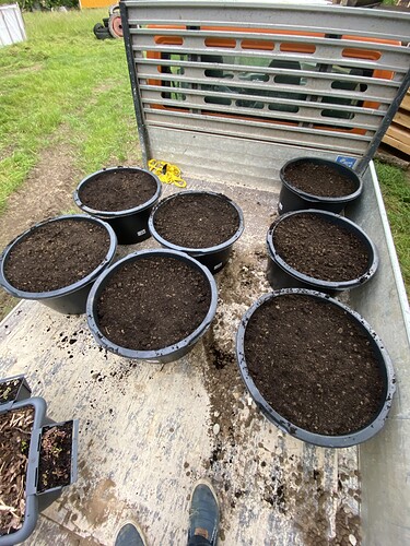 Growreport Bild 18