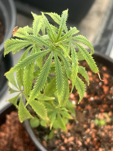 Growreport Bild 18