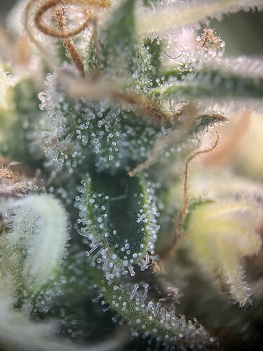 Growreport Bild 14