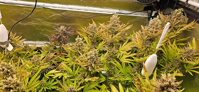Growreport Bild 14